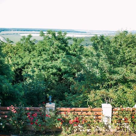 Curtea Boierului Hotel Peresecina Экстерьер фото